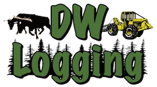 DW Logging Logo
