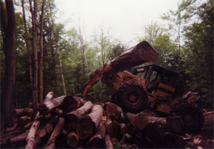 Skidder On Log Pile